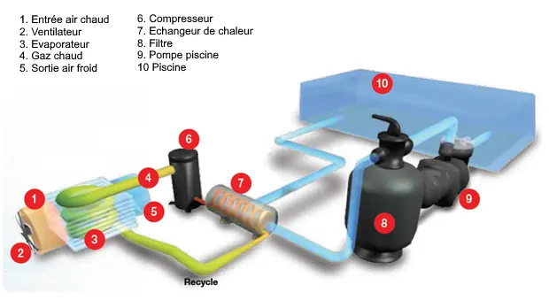 Schéma d'installation d'une pompe à chaleur piscine